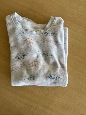Light Gray Dinosaur Print Crewneck Sweatshirt